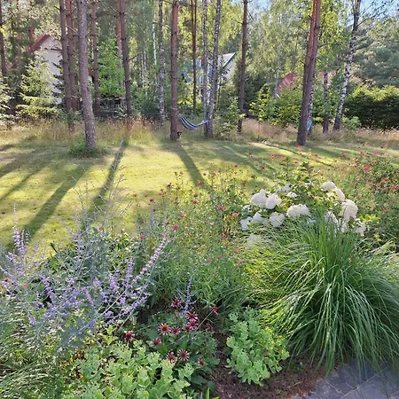 Jezioro I Apartament Powalczyn