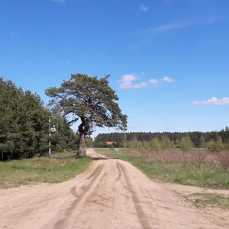 Jezioro I Mazury Apartament Powalczyn