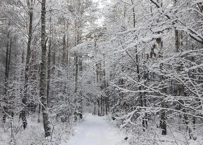 Lejlighed Jezioro I Mazury