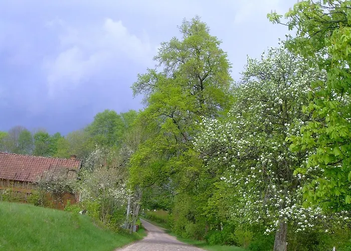 Jezioro I Mazury Lejlighed Powalczyn